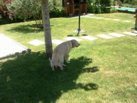 /album/fotos-recentes-/fotos-068-jpg/